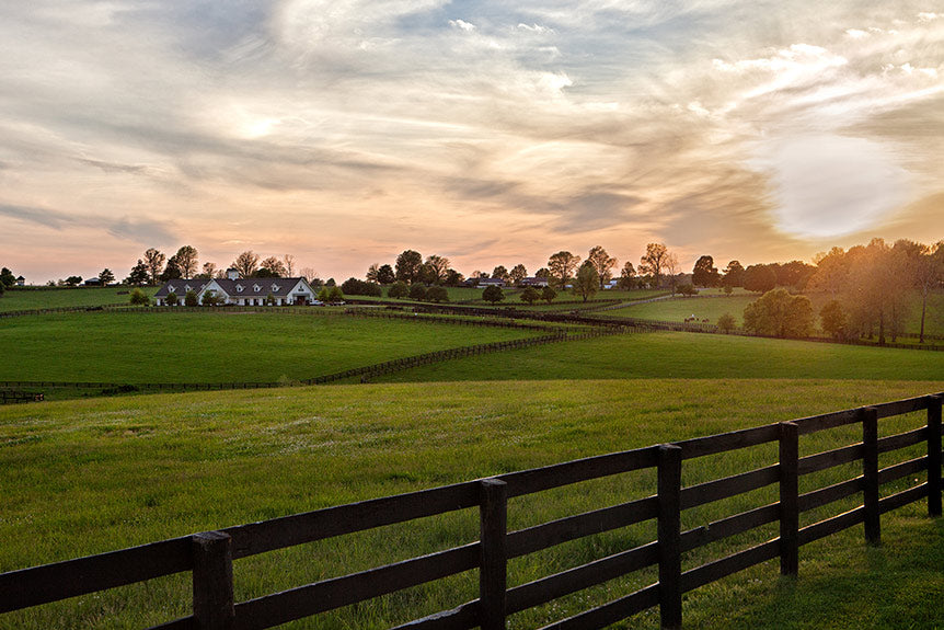 Kentucky Bluegrass Gets You High