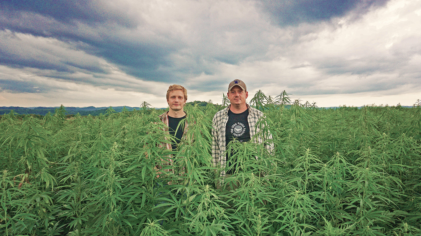Hemp Hustlers