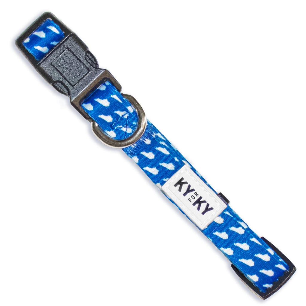Kentucky Dog Leash – KY for KY Store