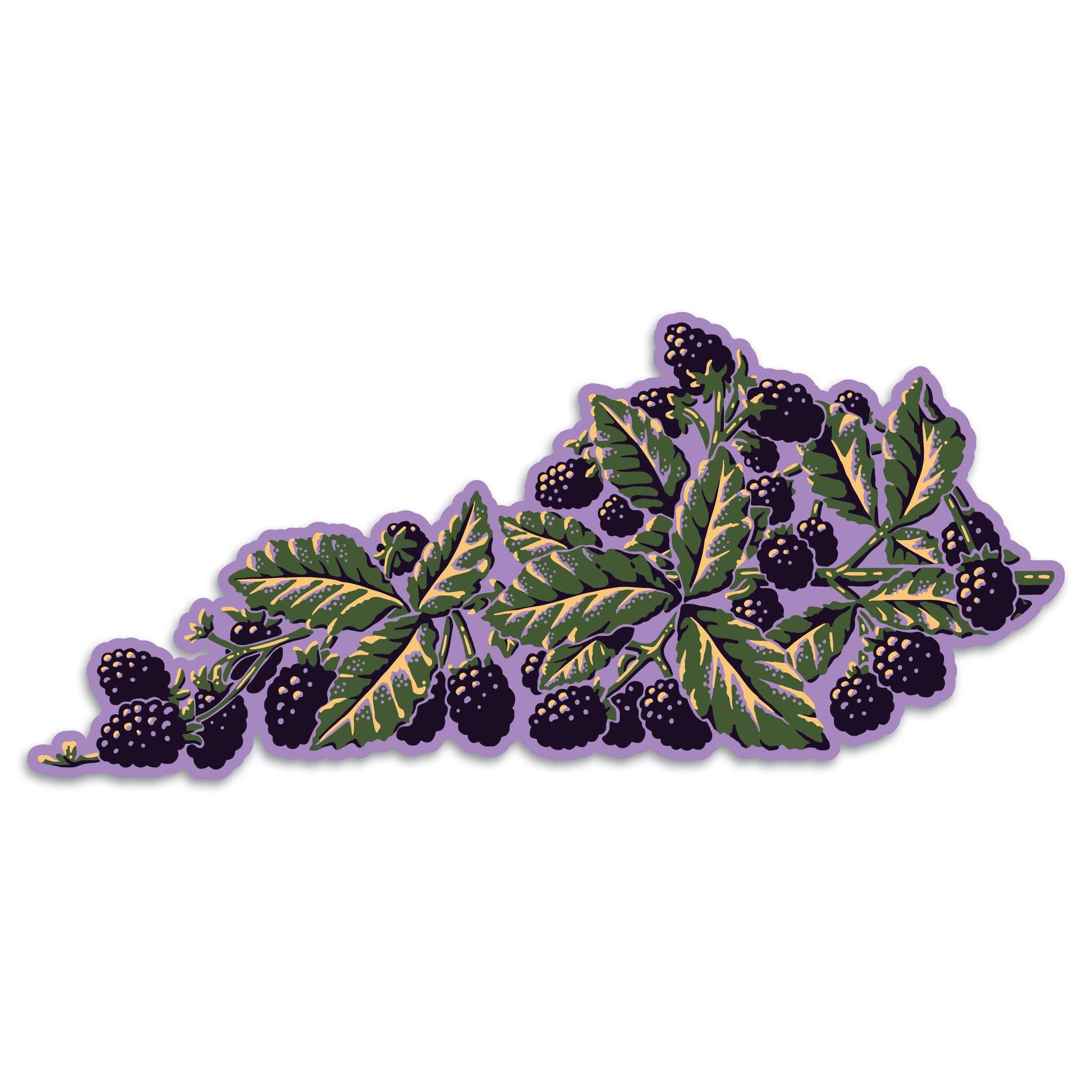Blackberry KY Sticker-Stickers-KY for KY Store
