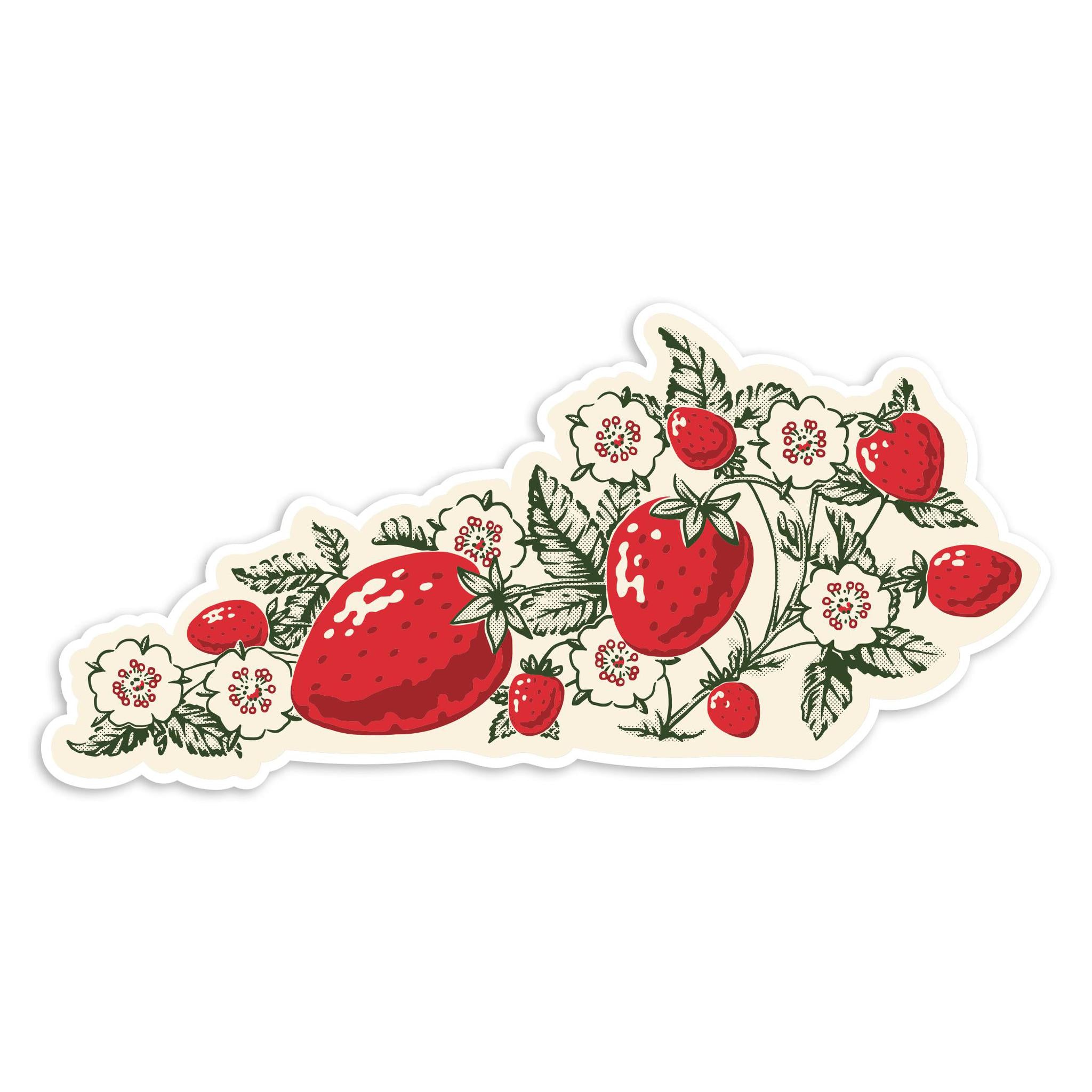 Strawberry KY Sticker-Stickers-KY for KY Store
