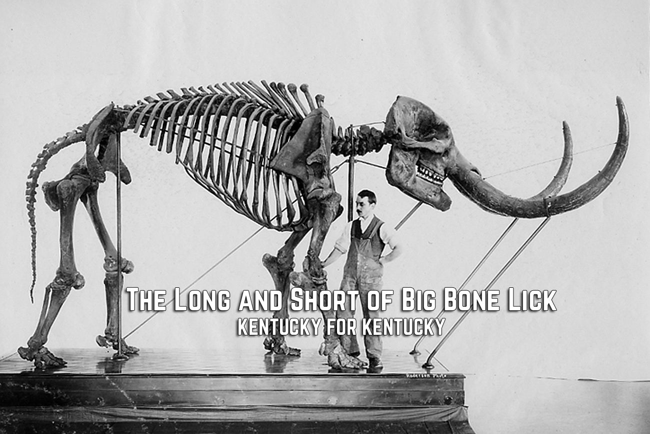 The Long and Short of Big Bone Lick