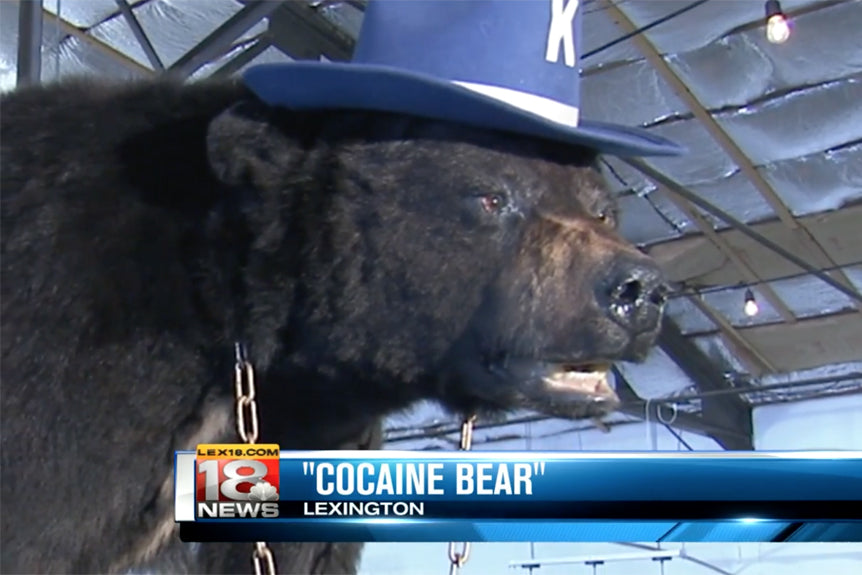 Cocaine Bear Becomes Kentucky's #1 Tourist Attraction!