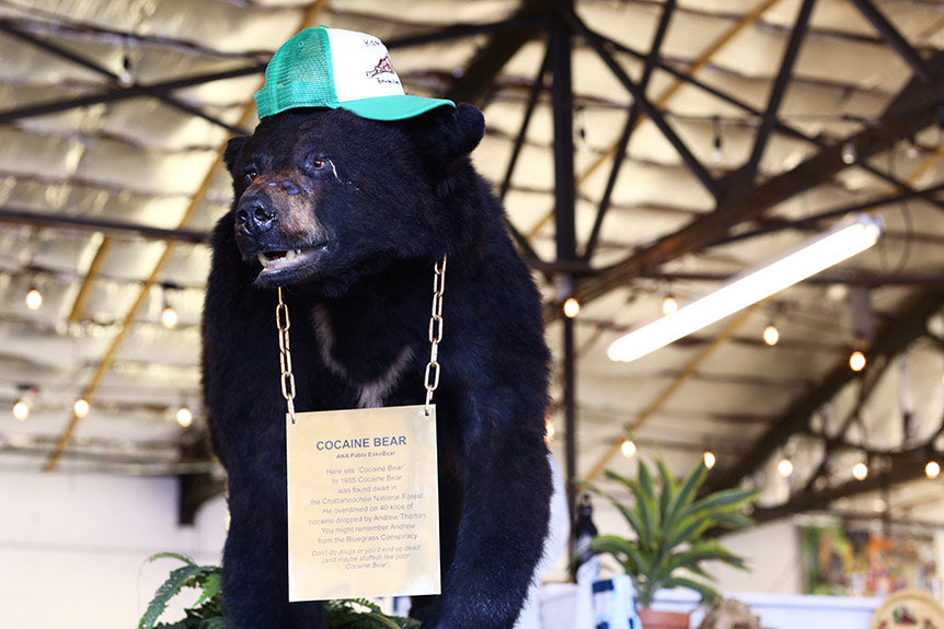 Meet Our New Mascot: Cocaine Bear