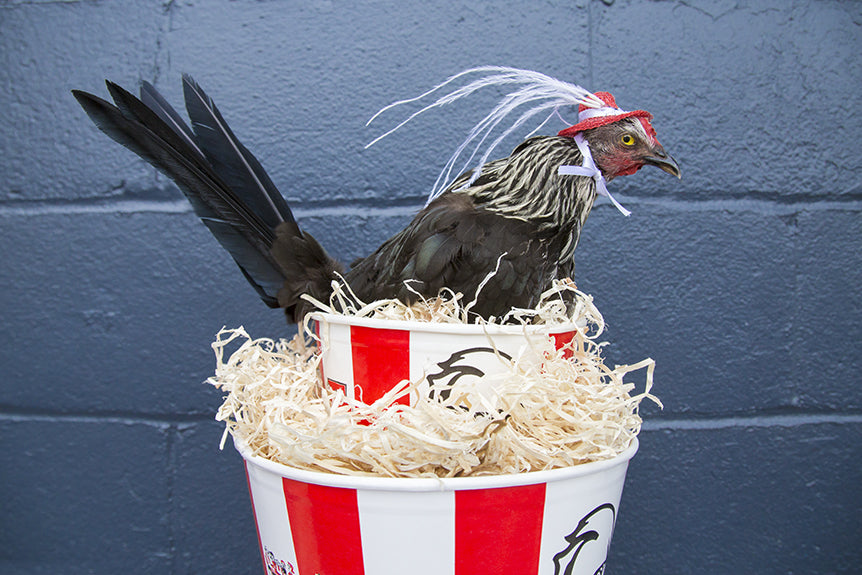 The World’s Most Epic Kentucky Fried Derby Hat