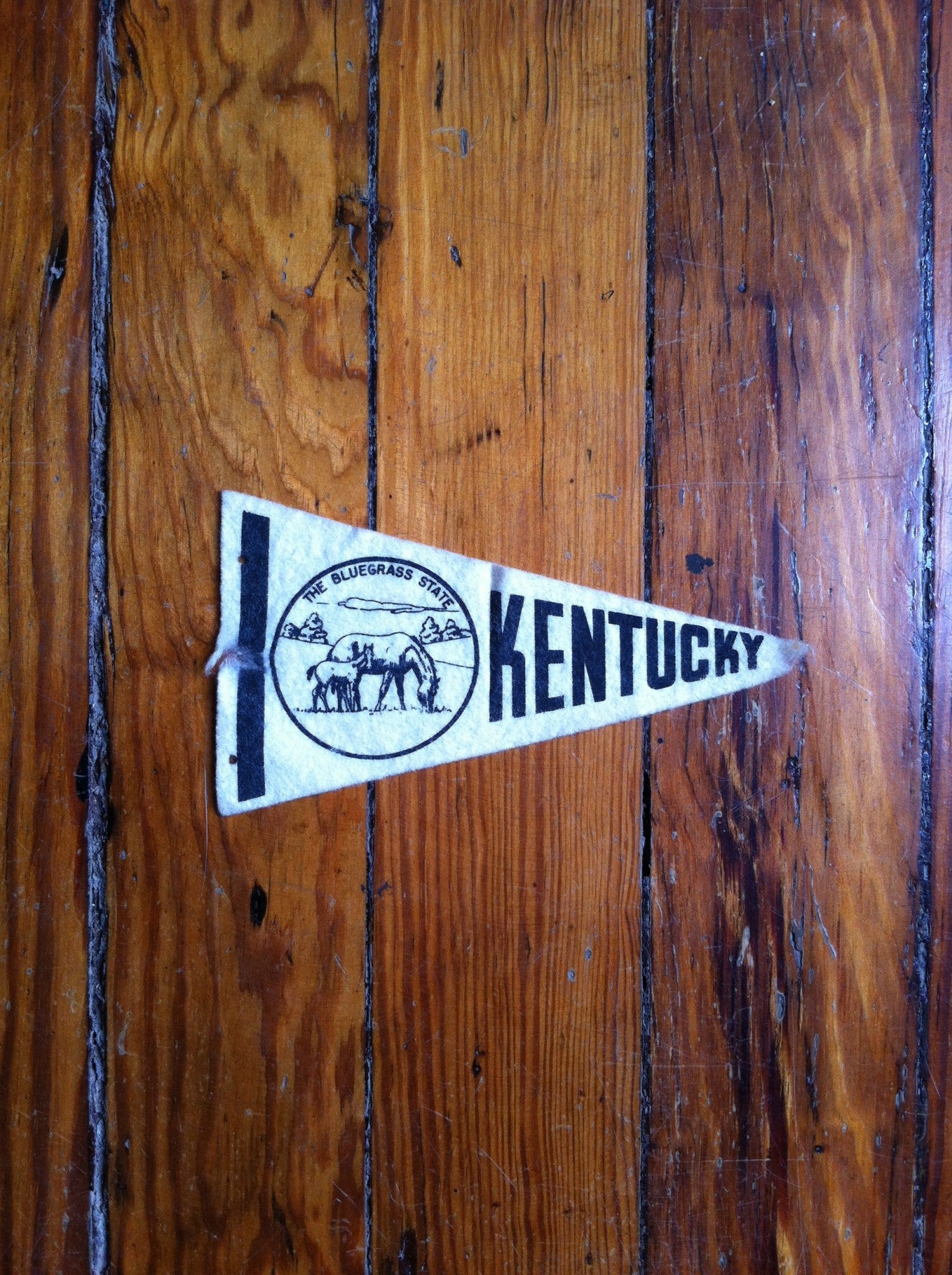 Vintage 1950's Kentucky Pennant
