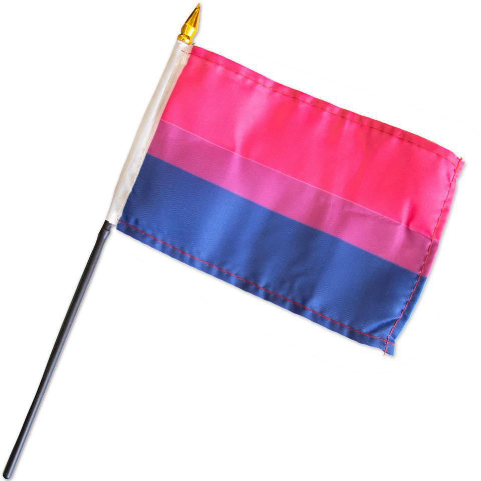 Bisexual Pride Flag (4" x 6")