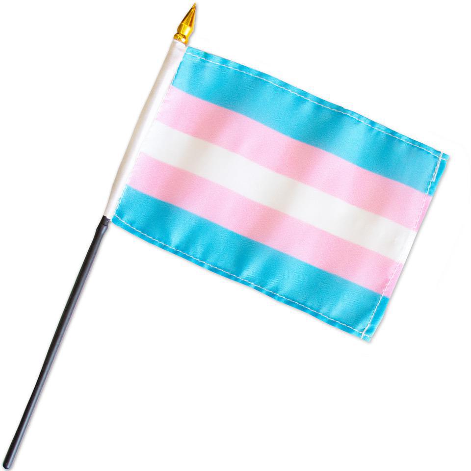Trans Pride Flag (4" x 6")