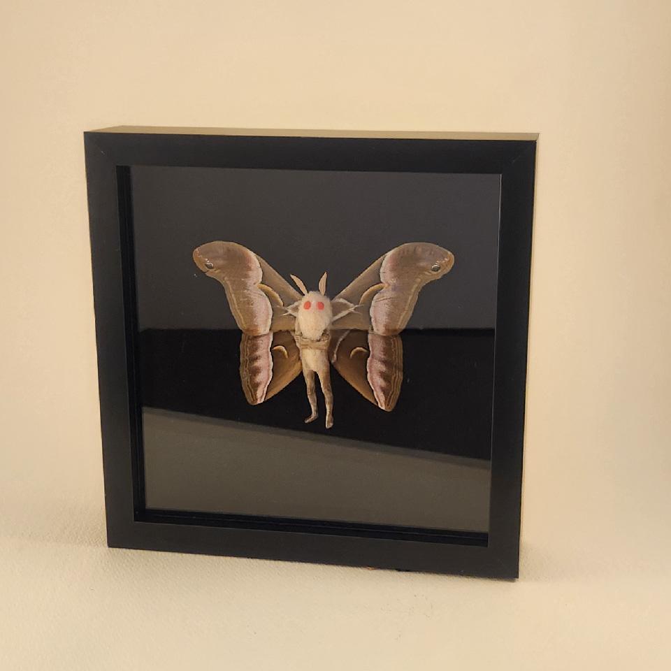 Alex The Mothman In A Frame