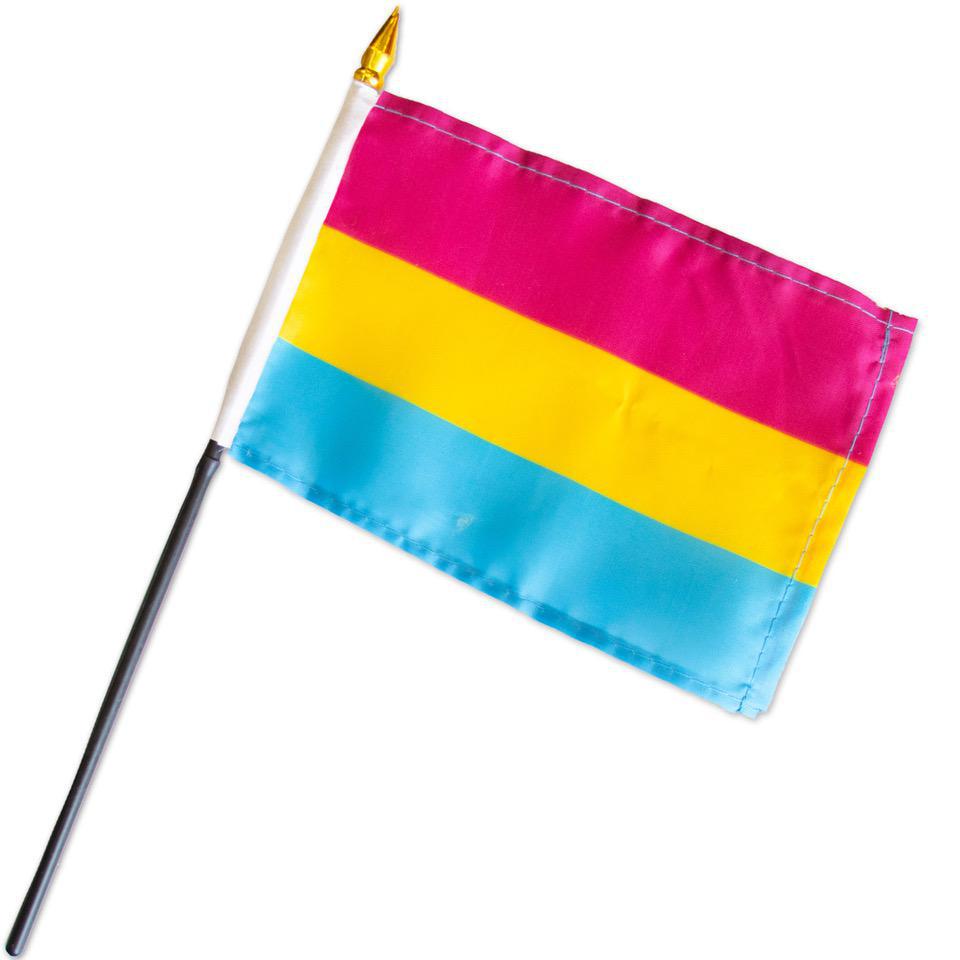 Pansexual Pride Flag (4" x 6")