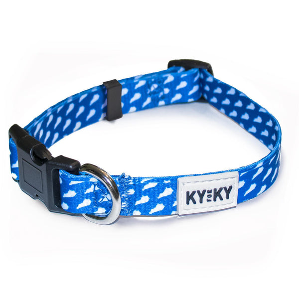 Cute University of Kentucky dog collar!